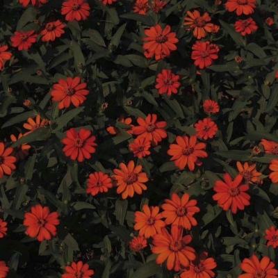 江南app体育下载官网